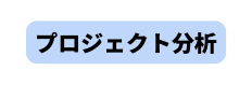 プロジェクト分析